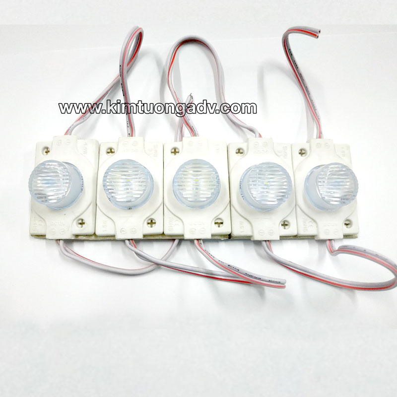 led-module-1-bong-kim-tuong