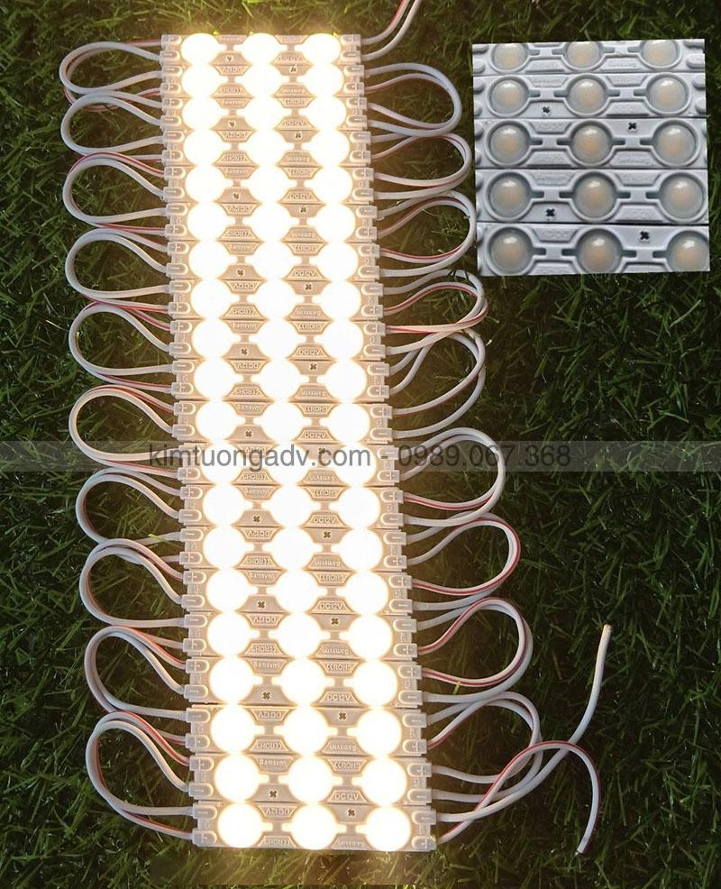 led-3-bong-mau-vang-nhat-kimtuongadv