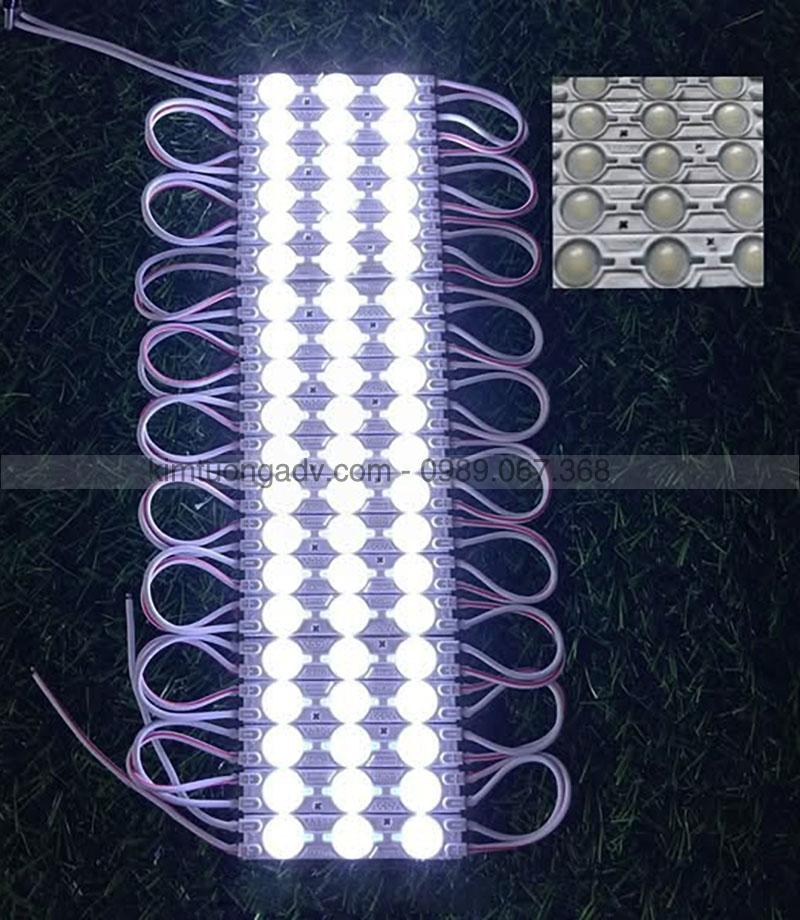 led-3-bong-mau-trang-kimtuongadv