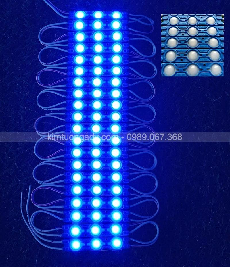 led-3-bong-mau-xanh-duong-kimtuongadv